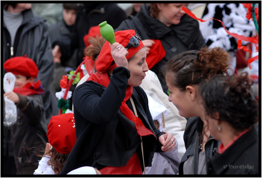 Carnaval2010_020.jpg - Carnaval des Enfants 2010 - La Rochelle