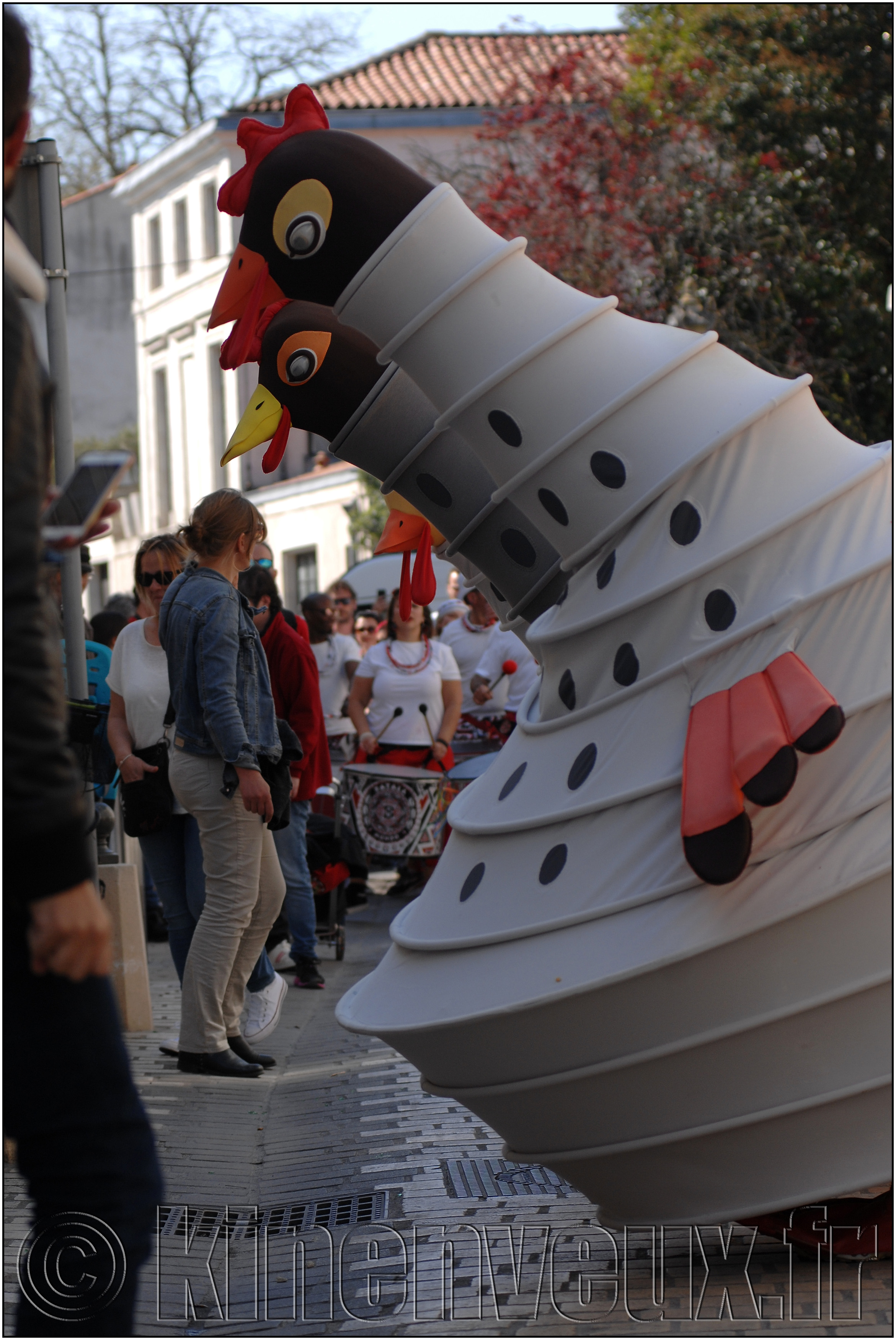 kinenveux_16_carnaval2019lr.jpg