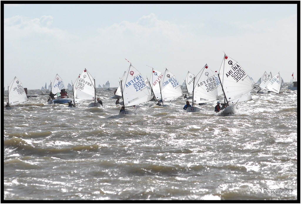 CoupeIntOpti__49.jpg - Coupe Internationale d'été Optimist * La Rochelle 2010