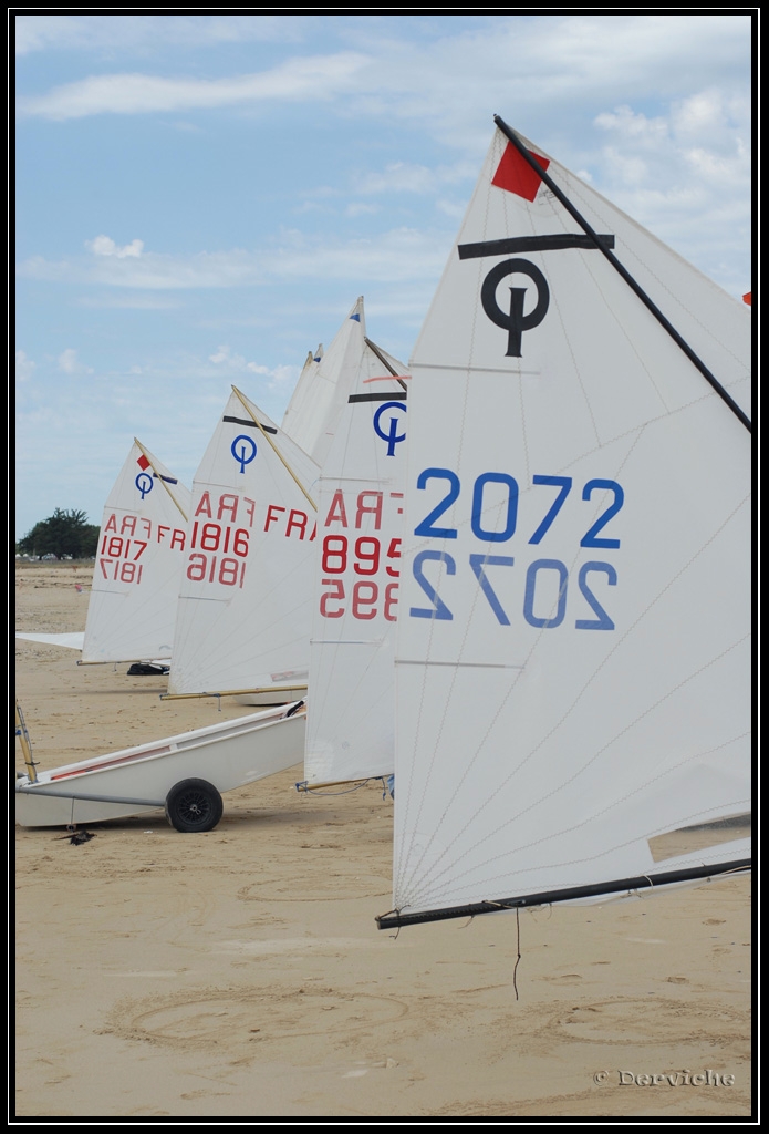 FinaleRegionale_009.jpg - Finale Régionale Ligue Poitou-Charentes Voile (Ile de Ré)Juin 2009