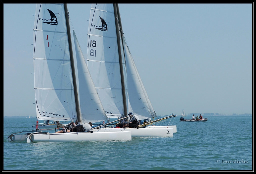 FinaleRegionale_053.jpg - Finale Régionale Ligue Poitou-Charentes Voile (Ile de Ré)Juin 2009