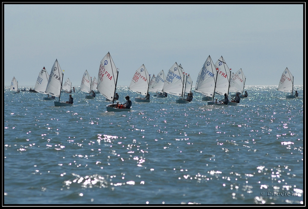 FinaleRegionale_092.jpg - Finale Régionale Ligue Poitou-Charentes Voile (Ile de Ré)Juin 2009