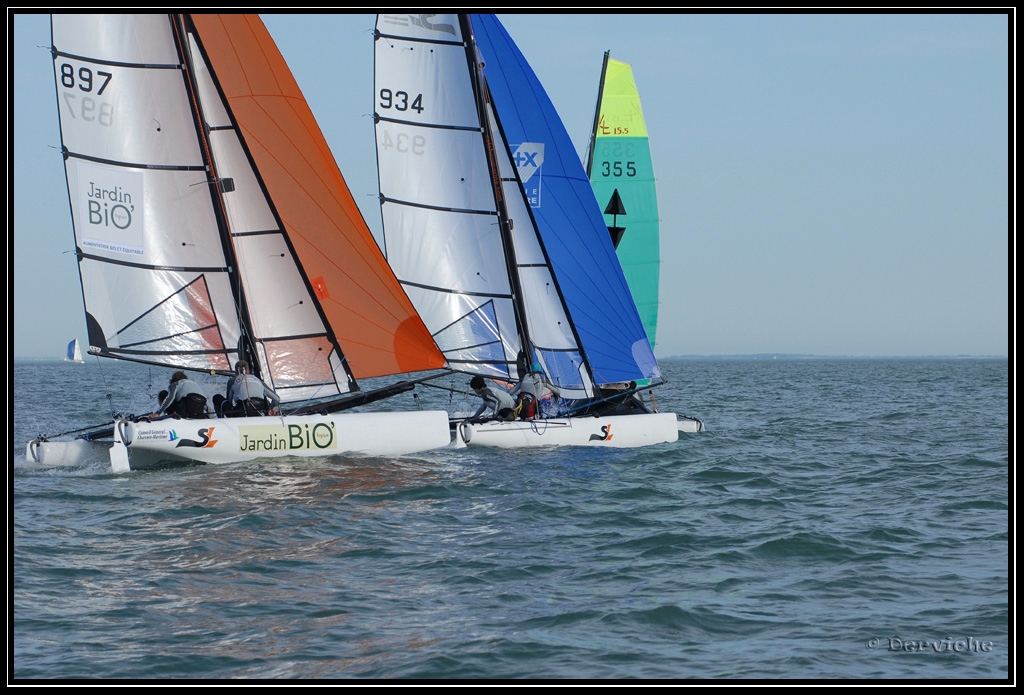 FinaleRegionale_117.jpg - Finale Régionale Ligue Poitou-Charentes Voile (Ile de Ré)Juin 2009