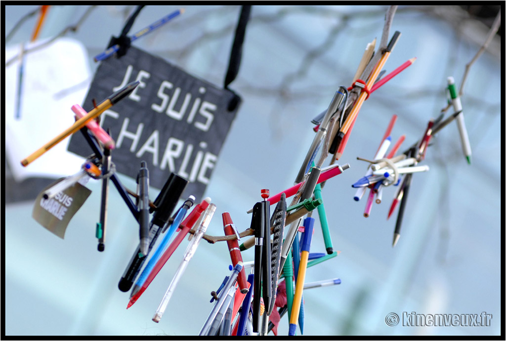 kinenveux_41_LaFranceDebout.jpg - Marche Républicaine Nationale – La Rochelle 11 Janvier 2015