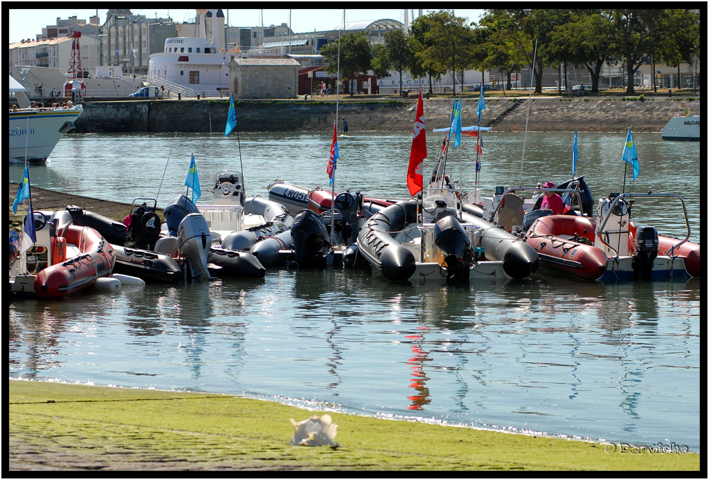 kinenveux_10_Baleines2011.jpg - Raid des Baleines 2011 * Préparatifs cale St Jean d'Acre / La Rochelle