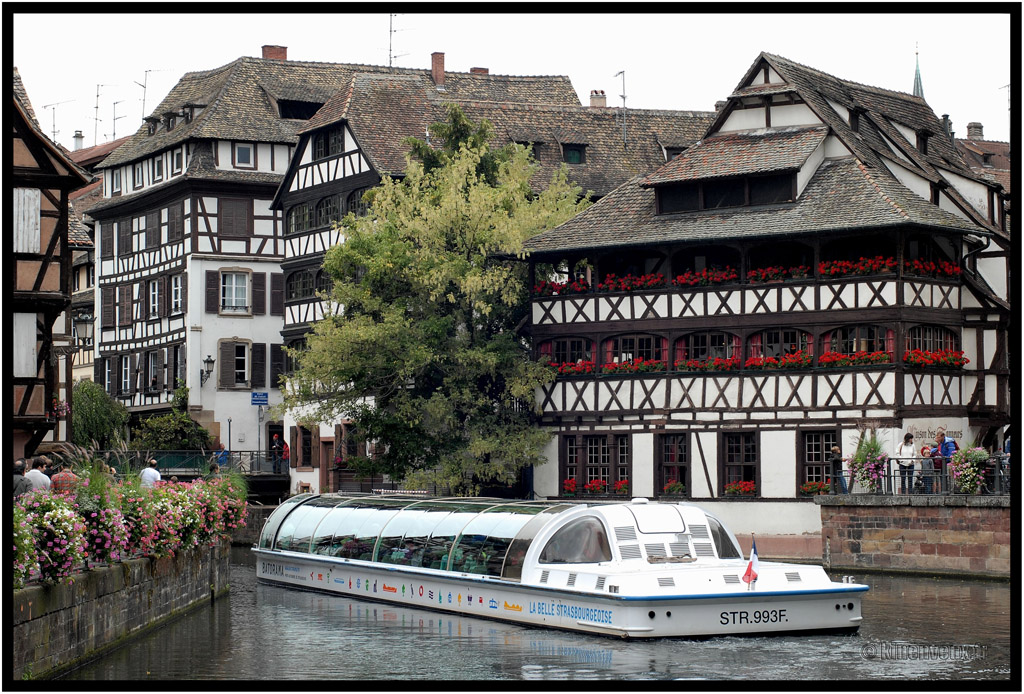 kinenveux__004_mariageCecileNic.jpg - Mariage Nic & Cécile * Strasbourg | 1 Septembre 2012