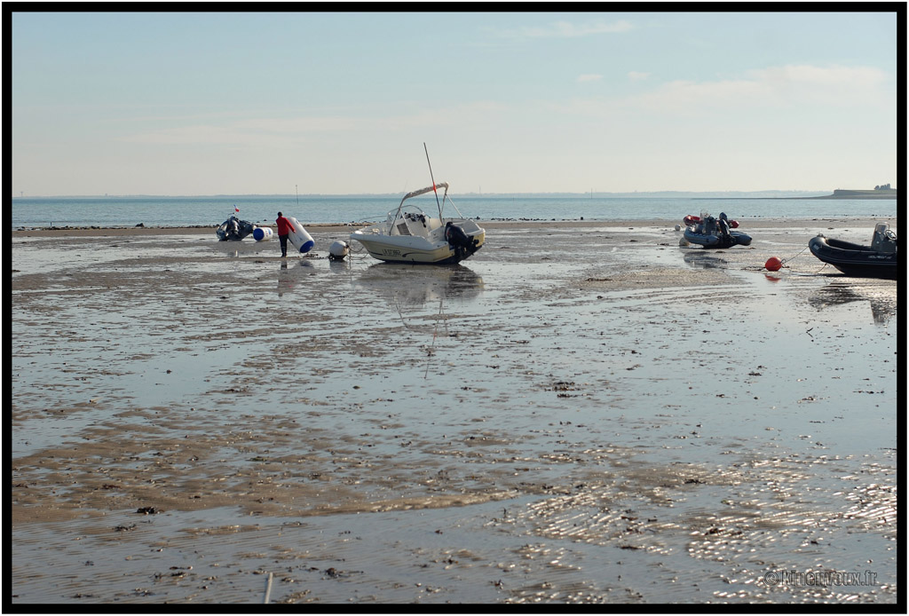 kinenveux_29_ligue_CNPA2013.jpg - régate de Ligue catamarans - CNPA La Flotte - 23/24 Mars 2013