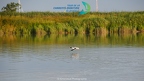 kinenveux TourVoile17 DVX 5761