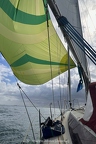 Rallye TourVoile17 2024 29 (1817 visites) Rallye TourVoile17 2024 29